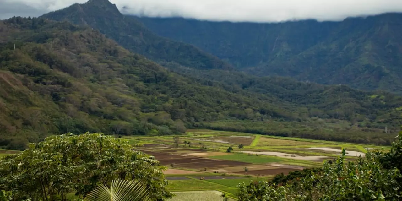Is Kauai safe for tourists?